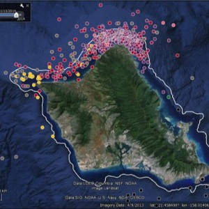 Study-of-Tiger-Shark-movements-on-the-North-Shore